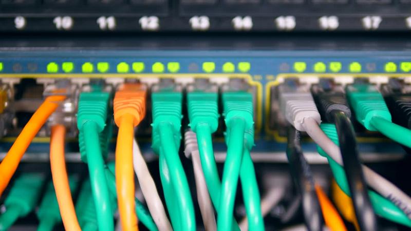 Ethernet cables plugged into ports on a network switch